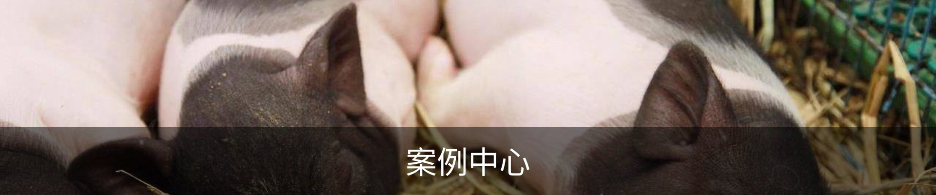 案例中心